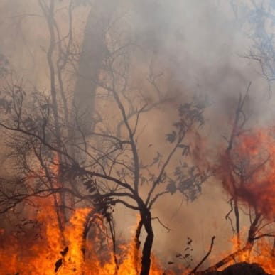 Novo Alerta Para Riscos De Incêndios Em Setembro e Outubro